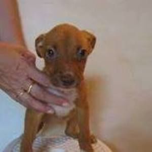 Meet your Posher, Angela